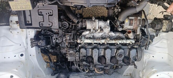 Kia Sportage 2005, 240,000 km - 2.0 л - Tovuz