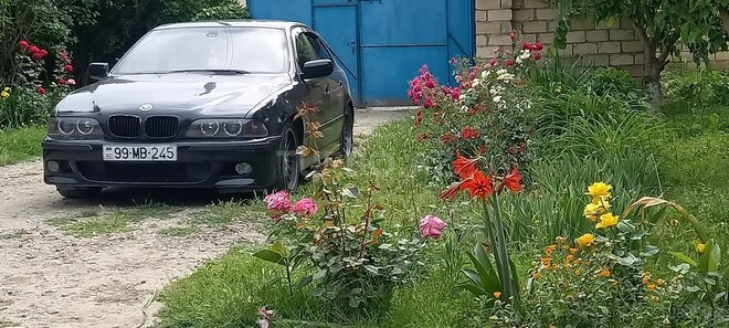 BMW 535 1998, 314,000 km - 3.5 l - Bakı
