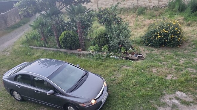 Honda Civic 2009, 238,000 km - 1.3 l - Şəmkir