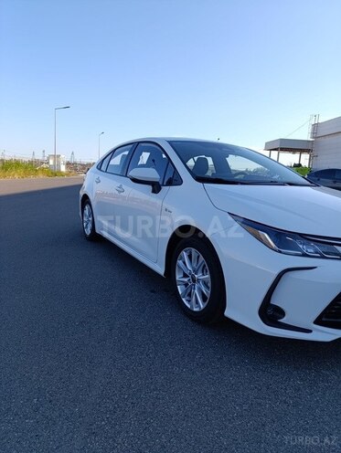 Toyota Corolla-11
