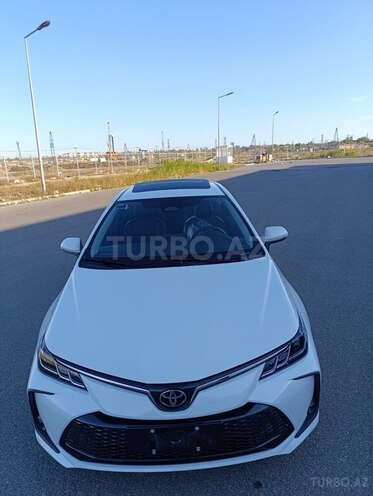 Toyota Corolla-16