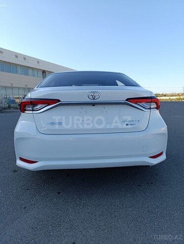 Toyota Corolla-4