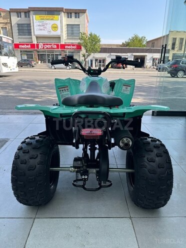 Mikilon PENTORA 110R-EFI-2