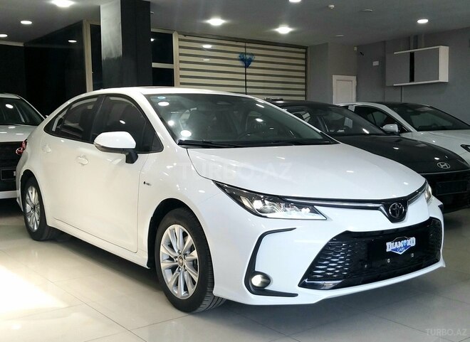 Toyota Corolla-6