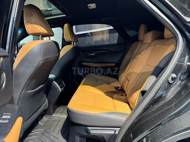 Lexus NX 300-17
