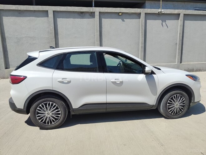 Ford Escape 2020, 115,000 km - 1.5 l - Bakı