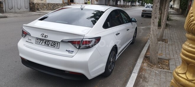 Hyundai Sonata 2016, 53,000 km - 2.0 l - Gəncə