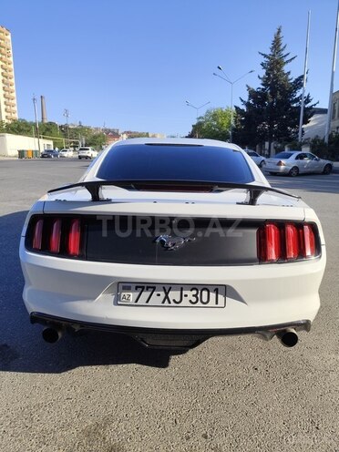 Ford Mustang 2015, 314,000 km - 2.3 л - Bakı