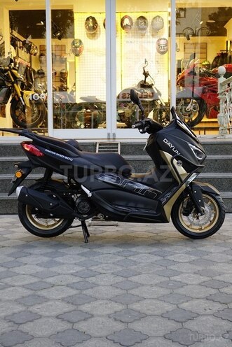 Dayun DY200T-11-3