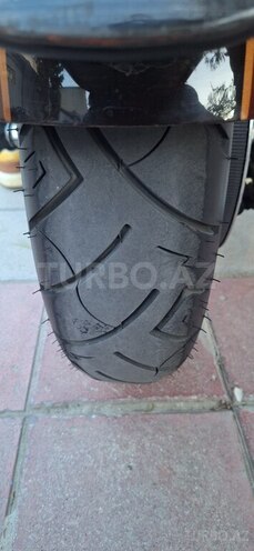 Harley-Davidson Sportster Custom 1200 2009, 49,450 km - 1.2 l - Bakı