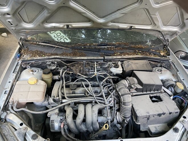 Ford Focus 2004, 100,000 km - 1.6 l - Bakı