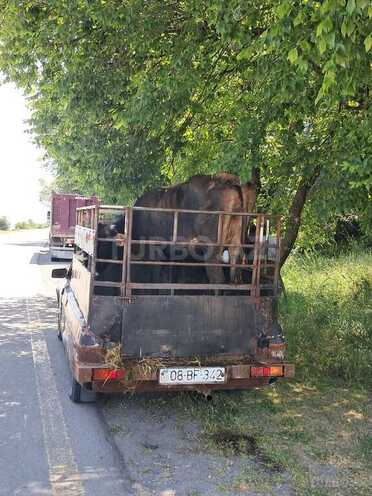 GAZ 31029 1998, 98,000 km - 2.4 l - İsmayıllı