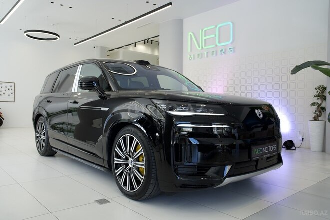 Denza N9-1