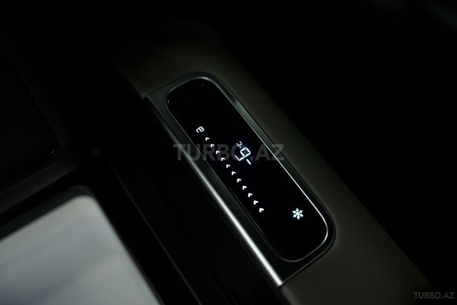 Denza N9-15