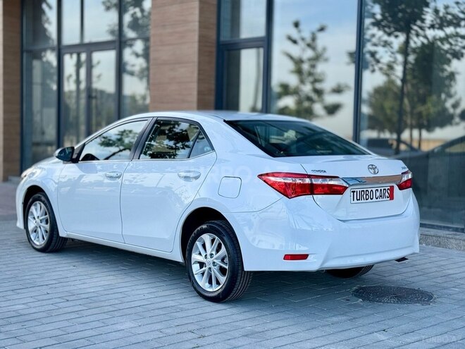 Toyota Corolla-4