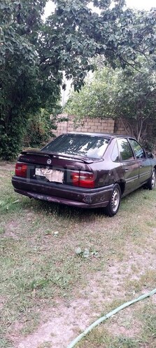 Opel Vectra 1994, 325,114 km - 1.7 l - Mingəçevir