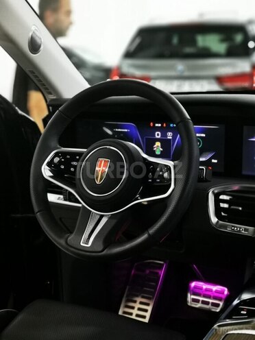 Hongqi E-HS9-24