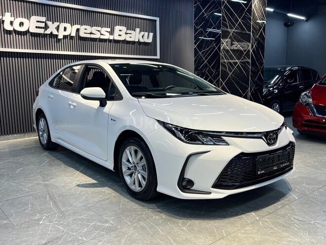 Toyota Corolla-7
