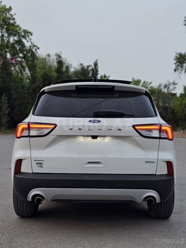 Ford Escape 2020, 45,000 km - 1.5 l - Sumqayıt