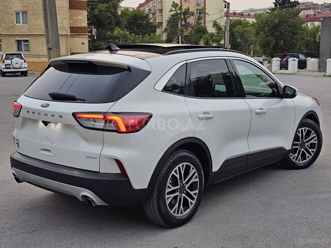 Ford Escape 2020, 45,000 km - 1.5 l - Sumqayıt