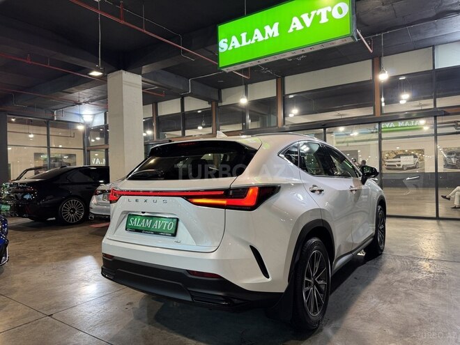 Lexus NX 200 2022, 8,700 km - 2.0 l - Bakı