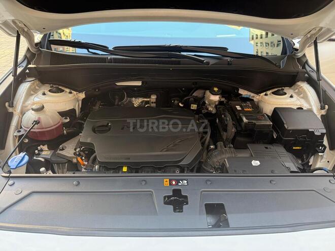 Hyundai Santa Fe-14