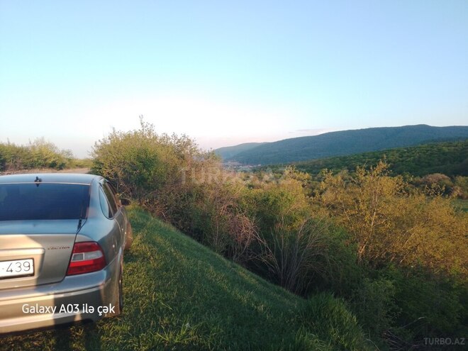 Opel Vectra 1996, 217,443 km - 1.6 l - Quba