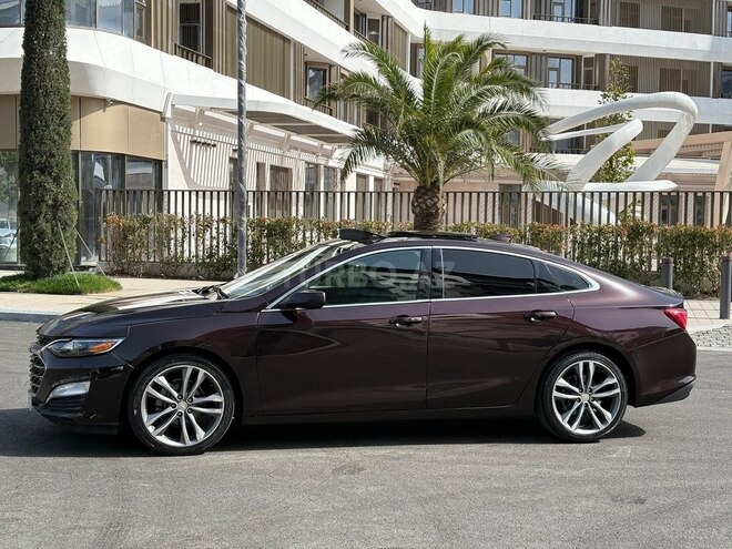 Chevrolet Malibu 2020, 131,000 km - 1.5 l - Gəncə