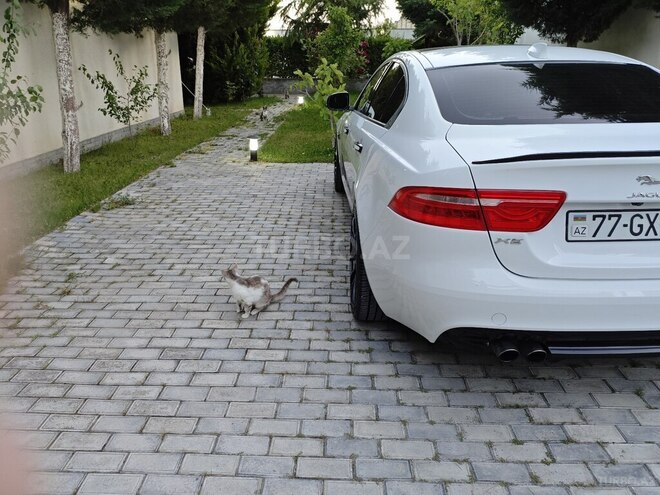 Jaguar XE 2017, 132,500 km - 2.0 l - Bakı