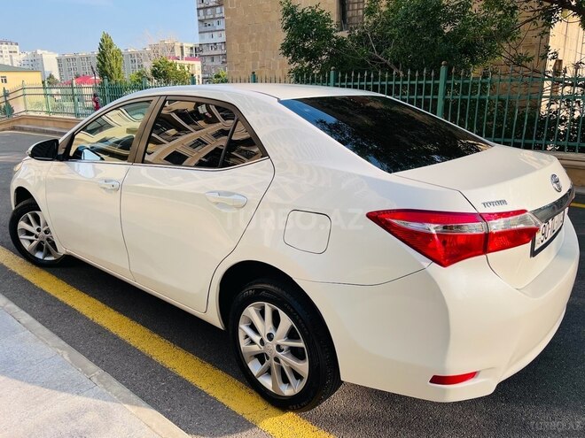 Toyota Corolla-15