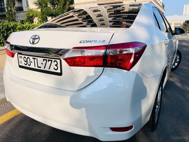 Toyota Corolla-17