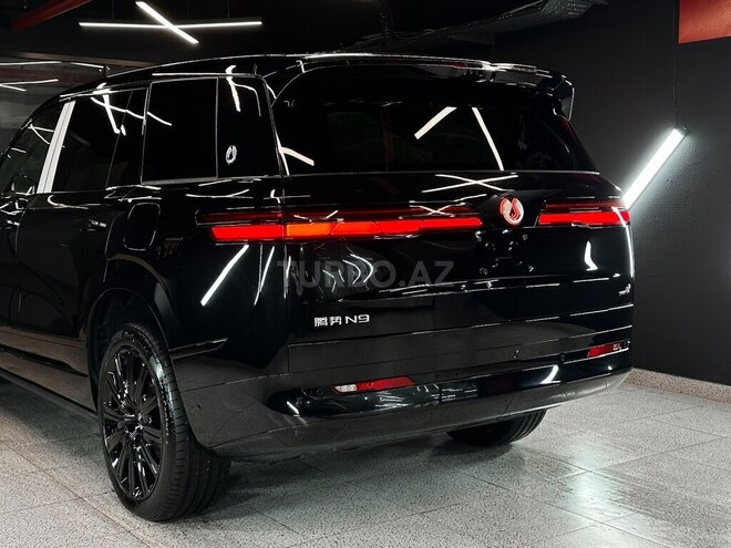 Denza N9-13