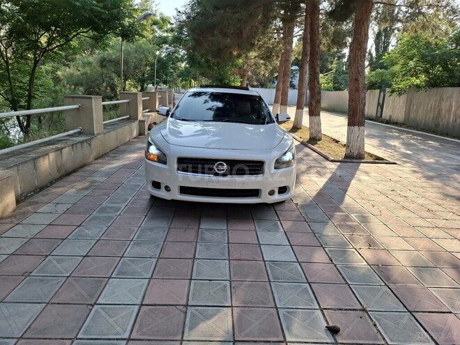Nissan Maxima 2010, 244,563 km - 3.5 l - Zərdab