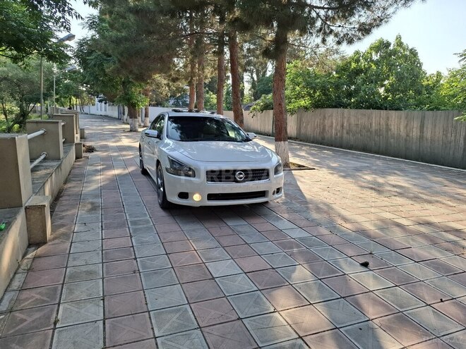 Nissan Maxima 2010, 244,563 km - 3.5 l - Zərdab
