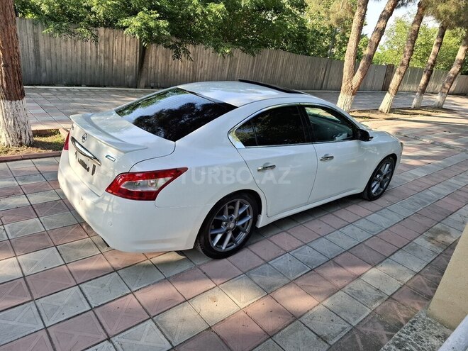 Nissan Maxima 2010, 244,563 km - 3.5 l - Zərdab