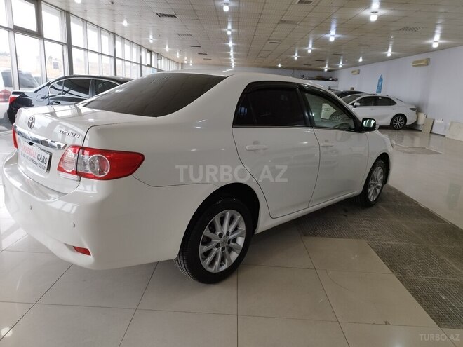 Toyota Corolla-6