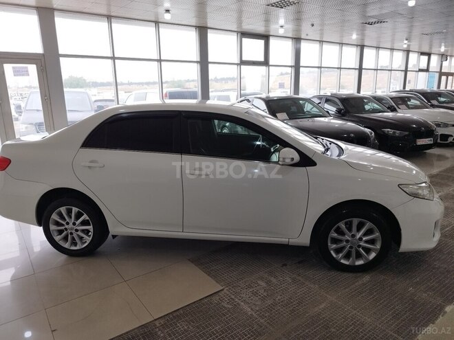 Toyota Corolla-4