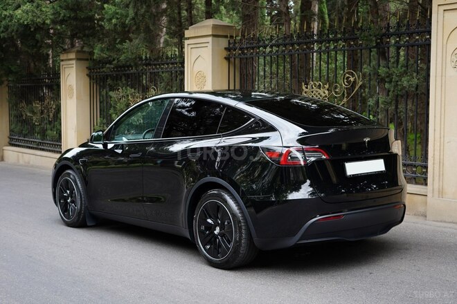 Tesla Model Y-3