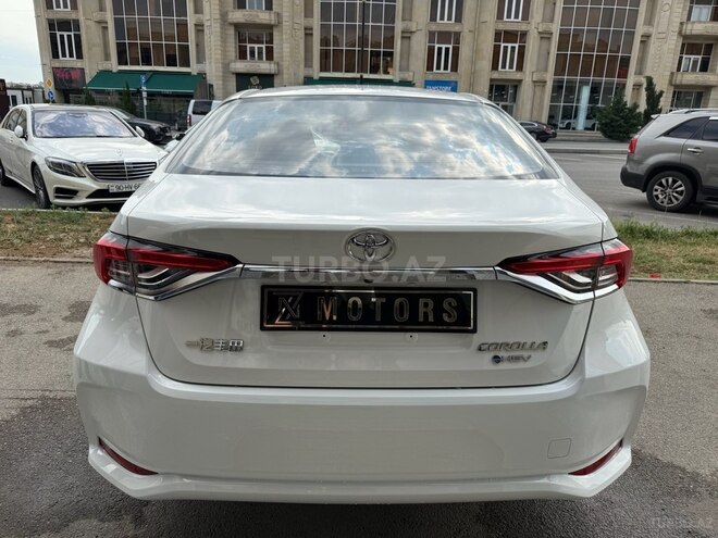 Toyota Corolla-6