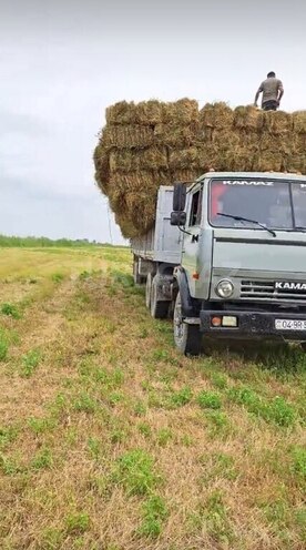 KamAz 5410 1992, 1,000,000 km - 14.0 l - Ağcabədi