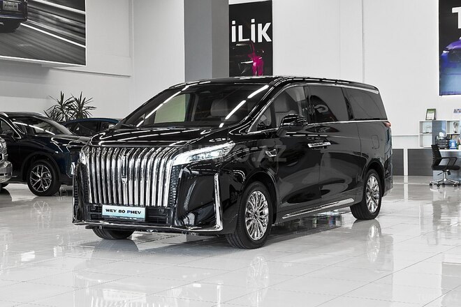 GWM (Great Wall Motor) Wey 80-1