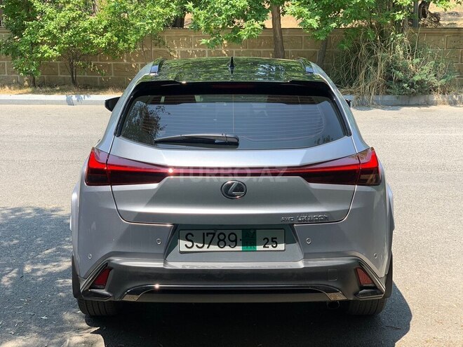 Lexus UX 300h-3