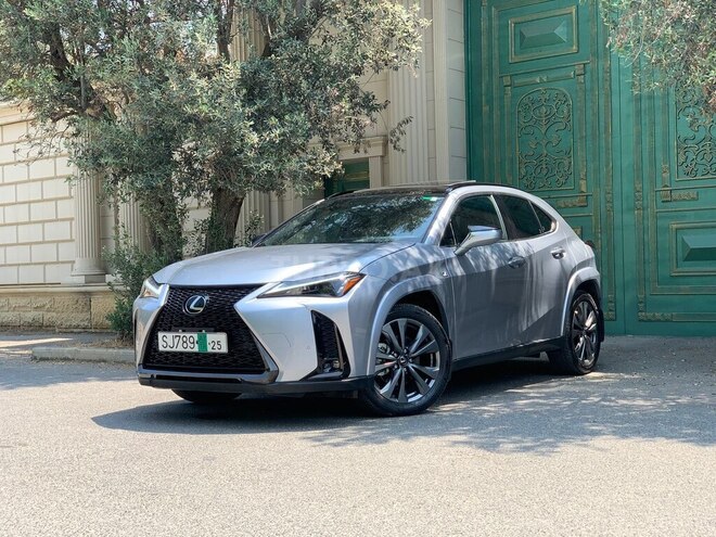 Lexus UX 300h-6