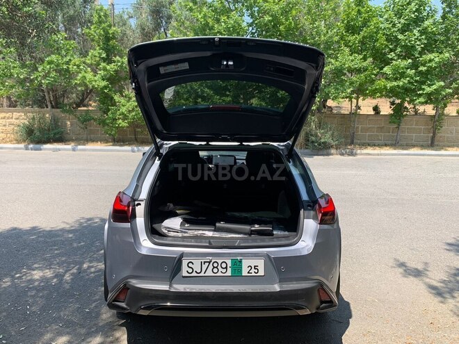 Lexus UX 300h-9