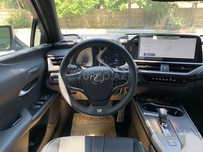 Lexus UX 300h-12