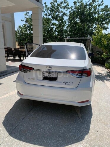Toyota Corolla-2