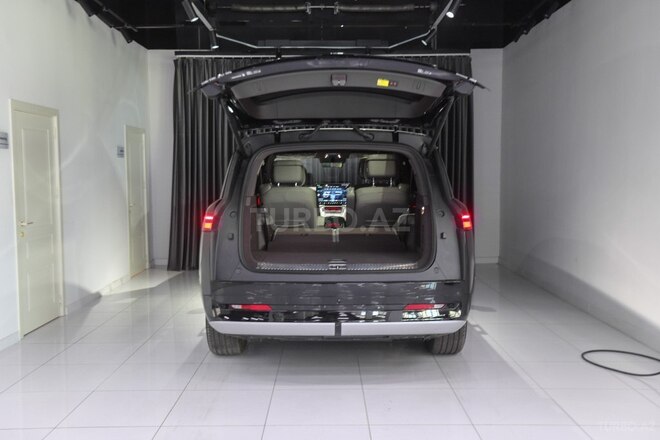Denza N9-11