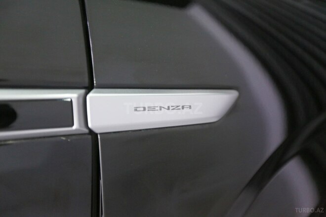 Denza N9-15