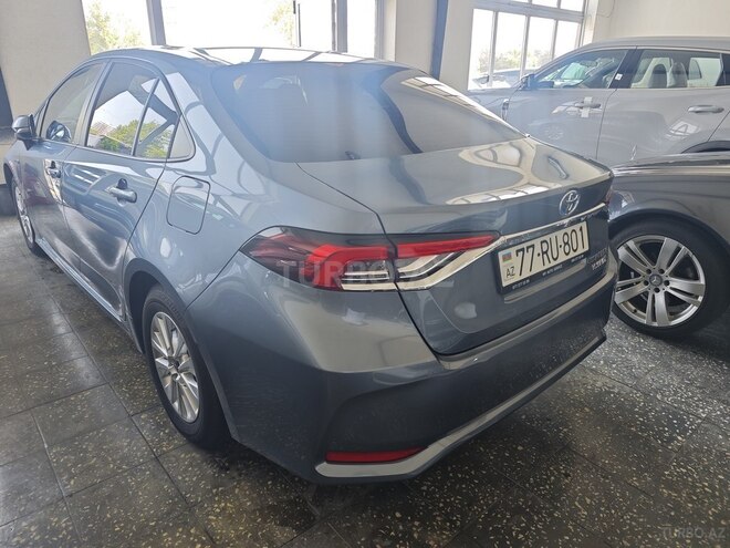 Toyota Corolla-5