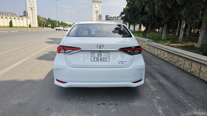 Toyota Corolla-4